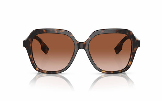 Burberry Sunglasses BE 4389 3002/13