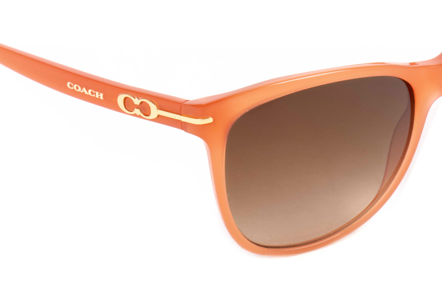 Coach Sunglasses CO 8117