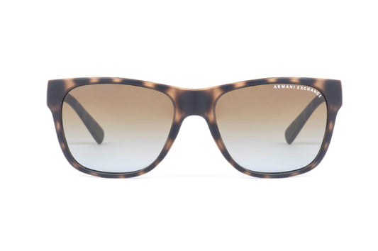 Armani Exchange Sunglasses AX 4008 8029T5