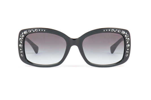 Coach Sunglasses CO 8161
