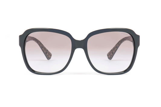 Coach Sunglasses CO 8185 526111