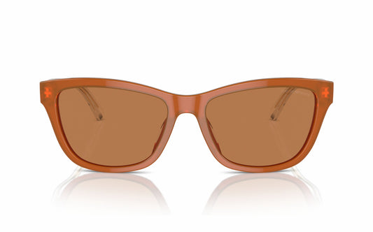 Emporio Armani Sunglasses EA 4227U 6097/73