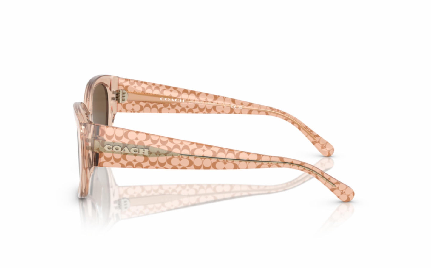 Coach Sunglasses CO 8362U 556173