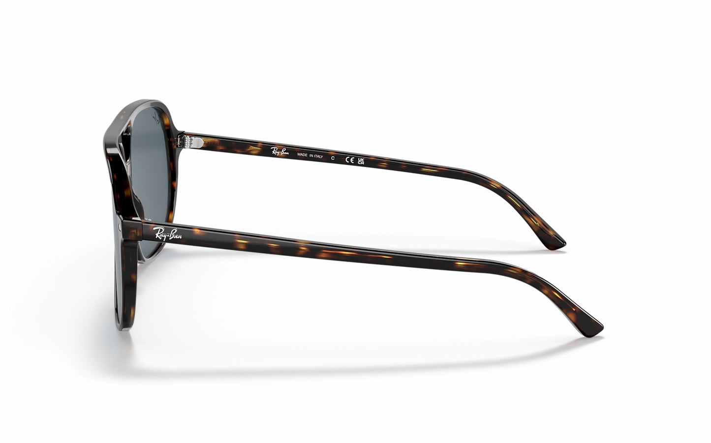Ray-Ban BILL Sunglasses RB2198 902/R5