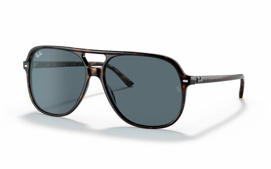 Ray-Ban BILL Sunglasses RB2198 902/R5