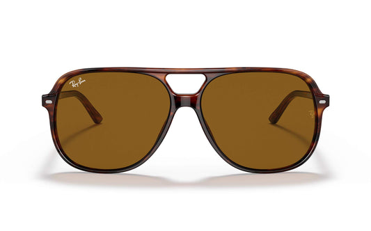 Ray-Ban BILL Sunglasses RB2198 954/33