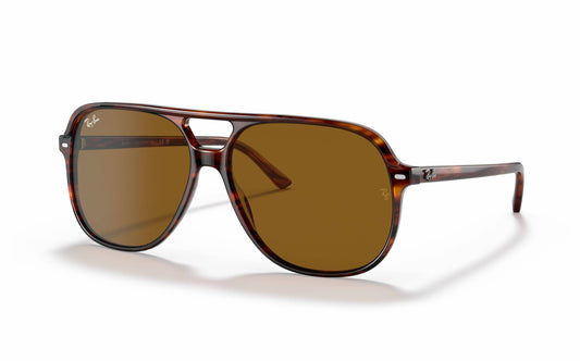 Ray-Ban BILL Sunglasses RB2198 954/33