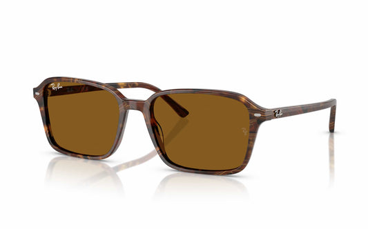 Ray-Ban Raimond Sunglasses RB2231 1418/33