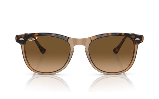 Ray-Ban Eagle Eye Sunglasses RB2398 1292/M2
