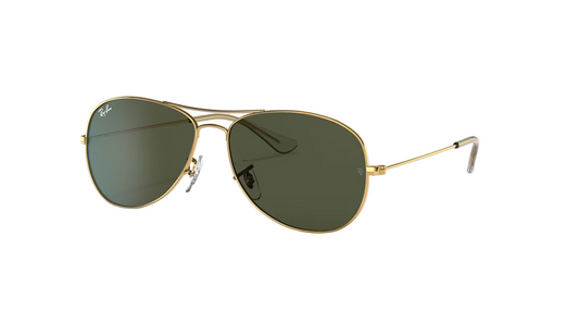 Ray-Ban Cockpit Sunglasses RB3362 001