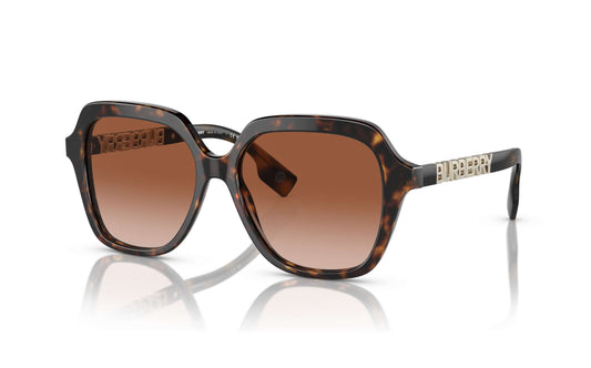 Burberry Sunglasses BE 4389 3002/13