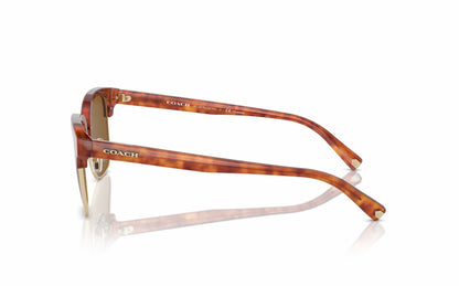 Coach Sunglasses CO 8326 577483