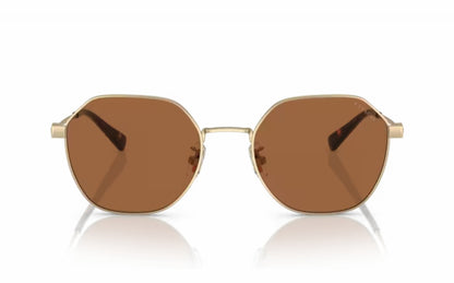 Coach Sunglasses CO 7155