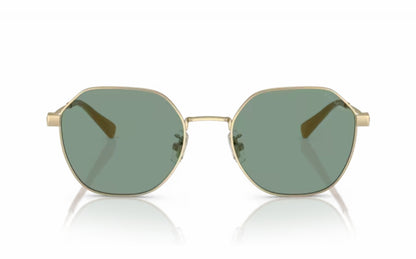 Coach Sunglasses CO 7155