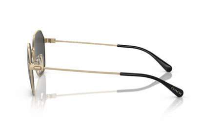 Coach Sunglasses CO 7155