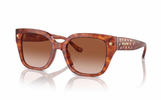 Coach Sunglasses CO 8392U 577413