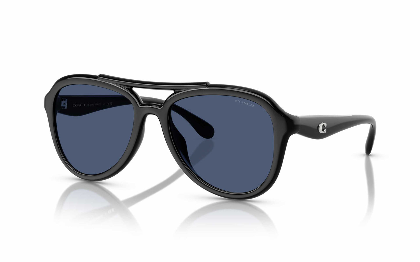 Coach Sunglasses CO 8406U 500287