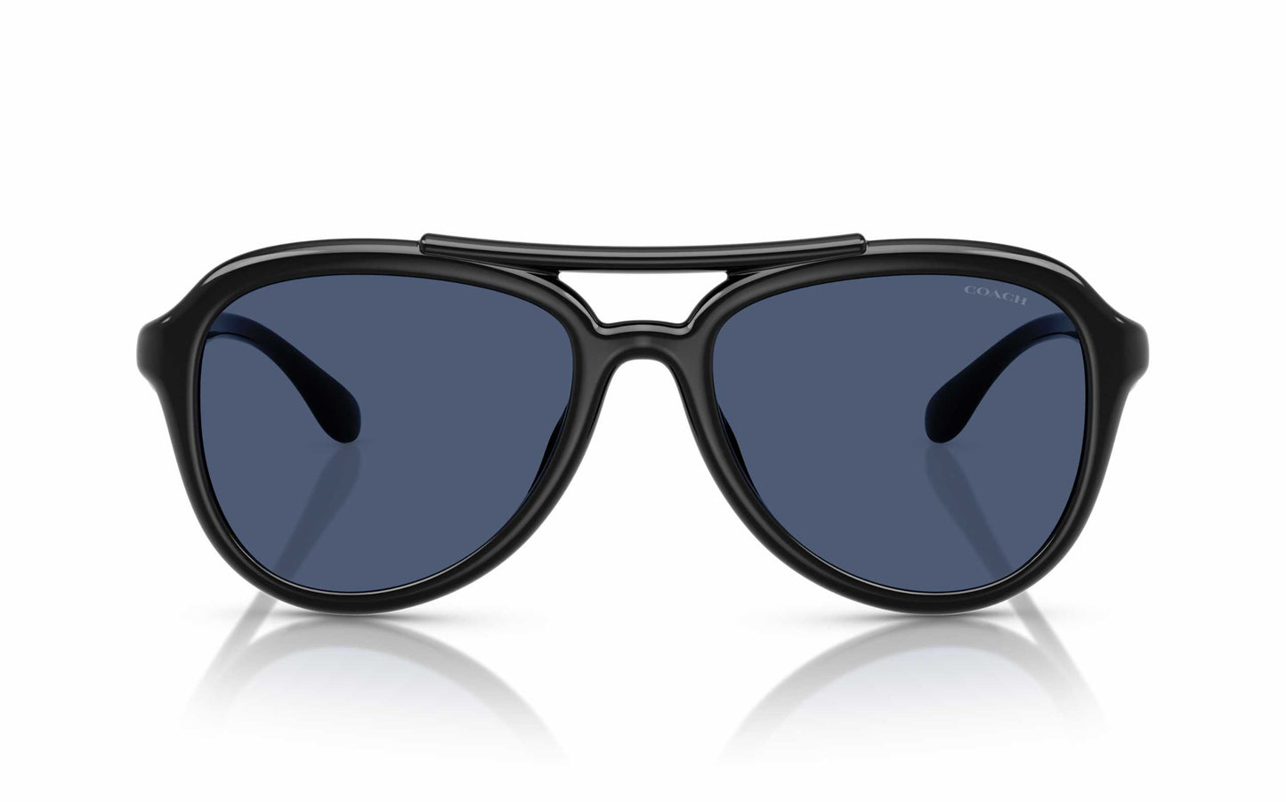 Coach Sunglasses CO 8406U 500287