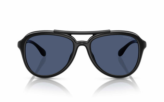 Coach Sunglasses CO 8406U 500287