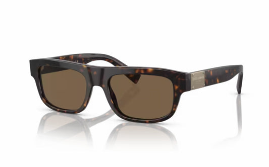 Dolce & Gabbana Sunglasses DG4432 502/73