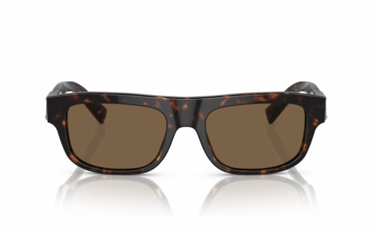 Dolce & Gabbana Sunglasses DG4432 502/73