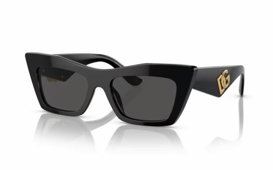 Dolce & Gabbana Sunglasses DG4435 501/87