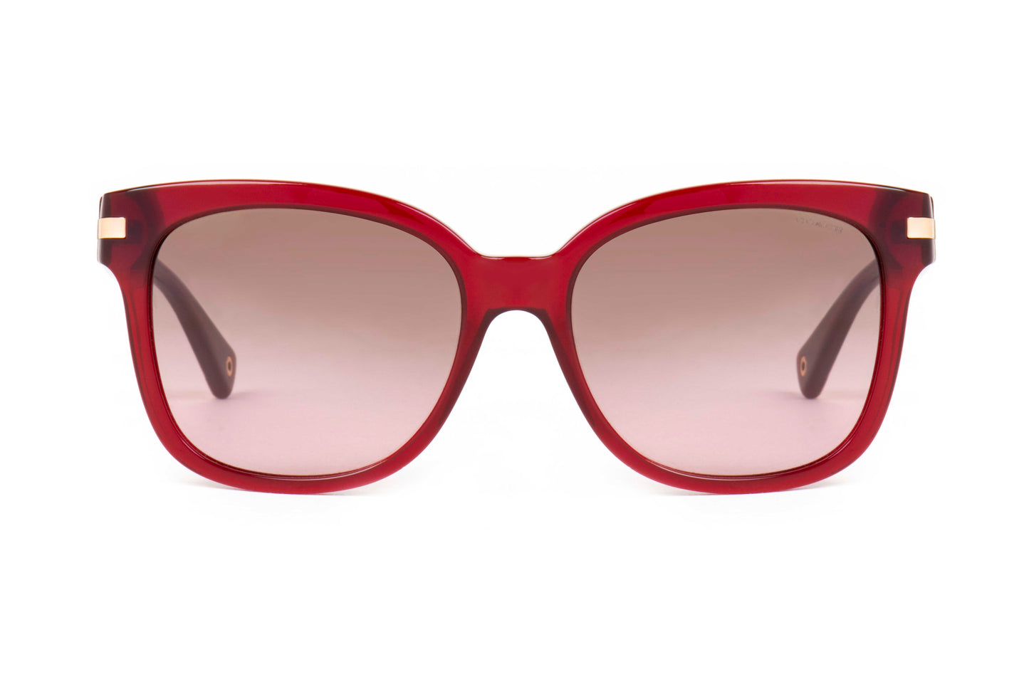 Coach Sunglasses CO 8103 523614