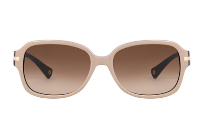 Coach Sunglasses CO 8105