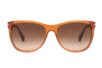 Coach Sunglasses CO 8117