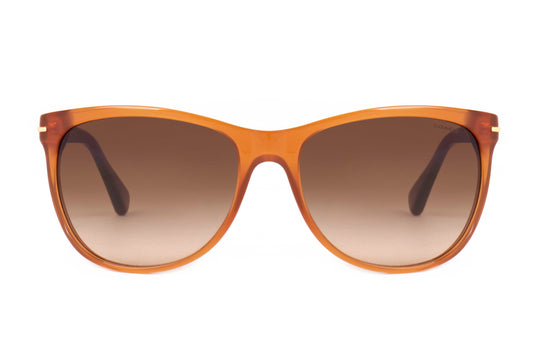 Coach Sunglasses CO 8117