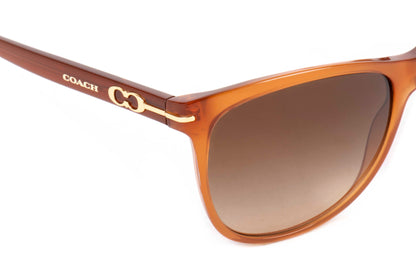 Coach Sunglasses CO 8117