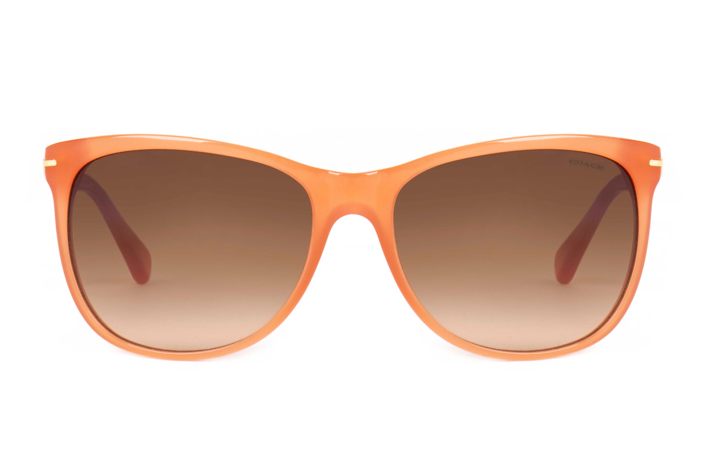 Coach Sunglasses CO 8117