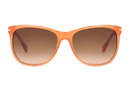 Coach Sunglasses CO 8117