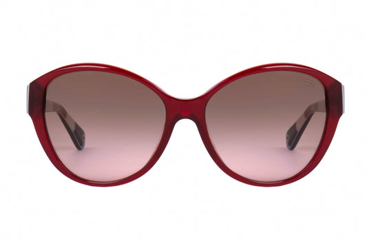 Coach Sunglasses CO 8007