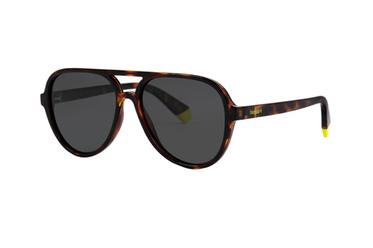 Polaroid Sunglasses PLD 8046/S