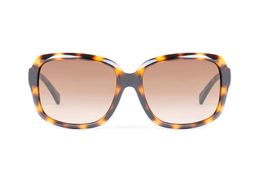 Coach Sunglasses CO 8141 512013