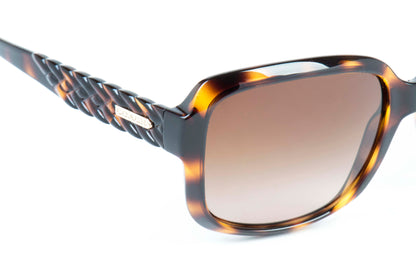 Coach Sunglasses CO 8141 512013