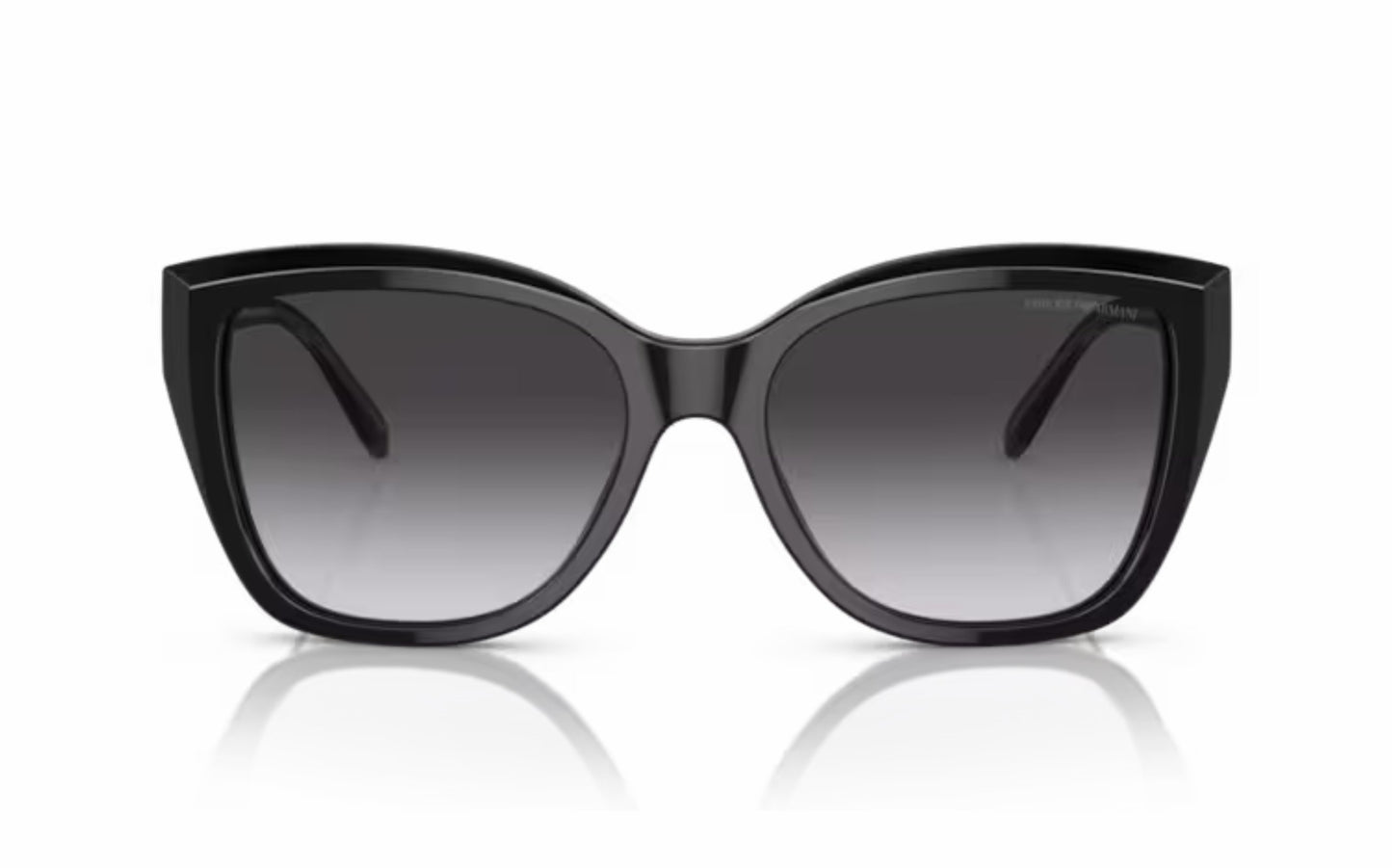 Emporio Armani Sunglasses EA 4198 5017/8G