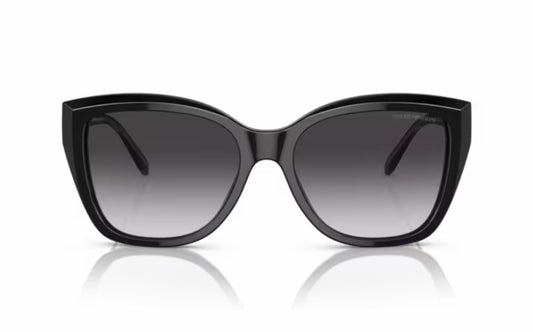 Emporio Armani Sunglasses EA 4198 5017/8G