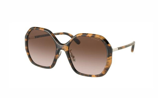 Coach Sunglasses CO 8343 512013