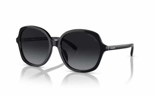 Coach Sunglasses CO 8360U 5002T3