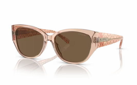 Coach Sunglasses CO 8362U 556173