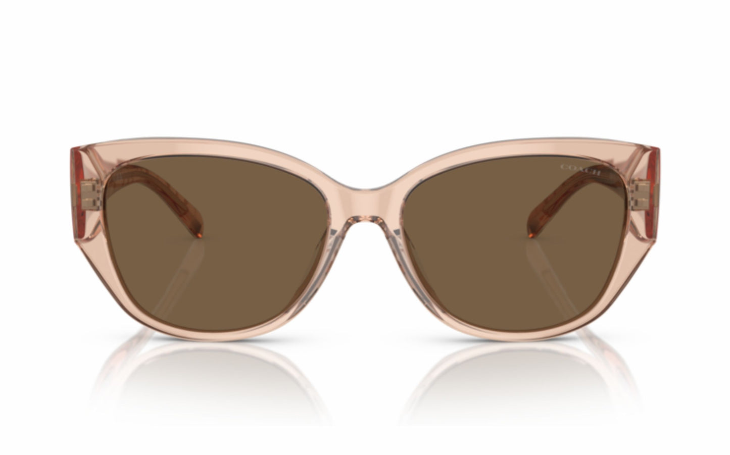 Coach Sunglasses CO 8362U 556173