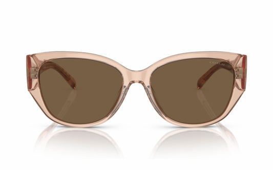 Coach Sunglasses CO 8362U 556173