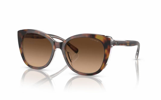 Coach Sunglasses CO 8365U 574274