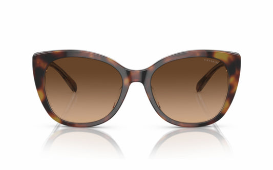 Coach Sunglasses CO 8365U 574274