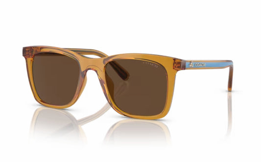 Coach Sunglasses CO 8374U 57483G