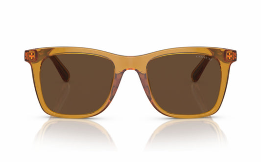 Coach Sunglasses CO 8374U 57483G