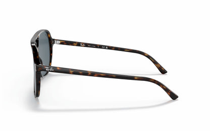 Ray-Ban BILL Sunglasses RB2198 902/R5