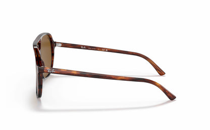 Ray-Ban BILL Sunglasses RB2198 954/33
